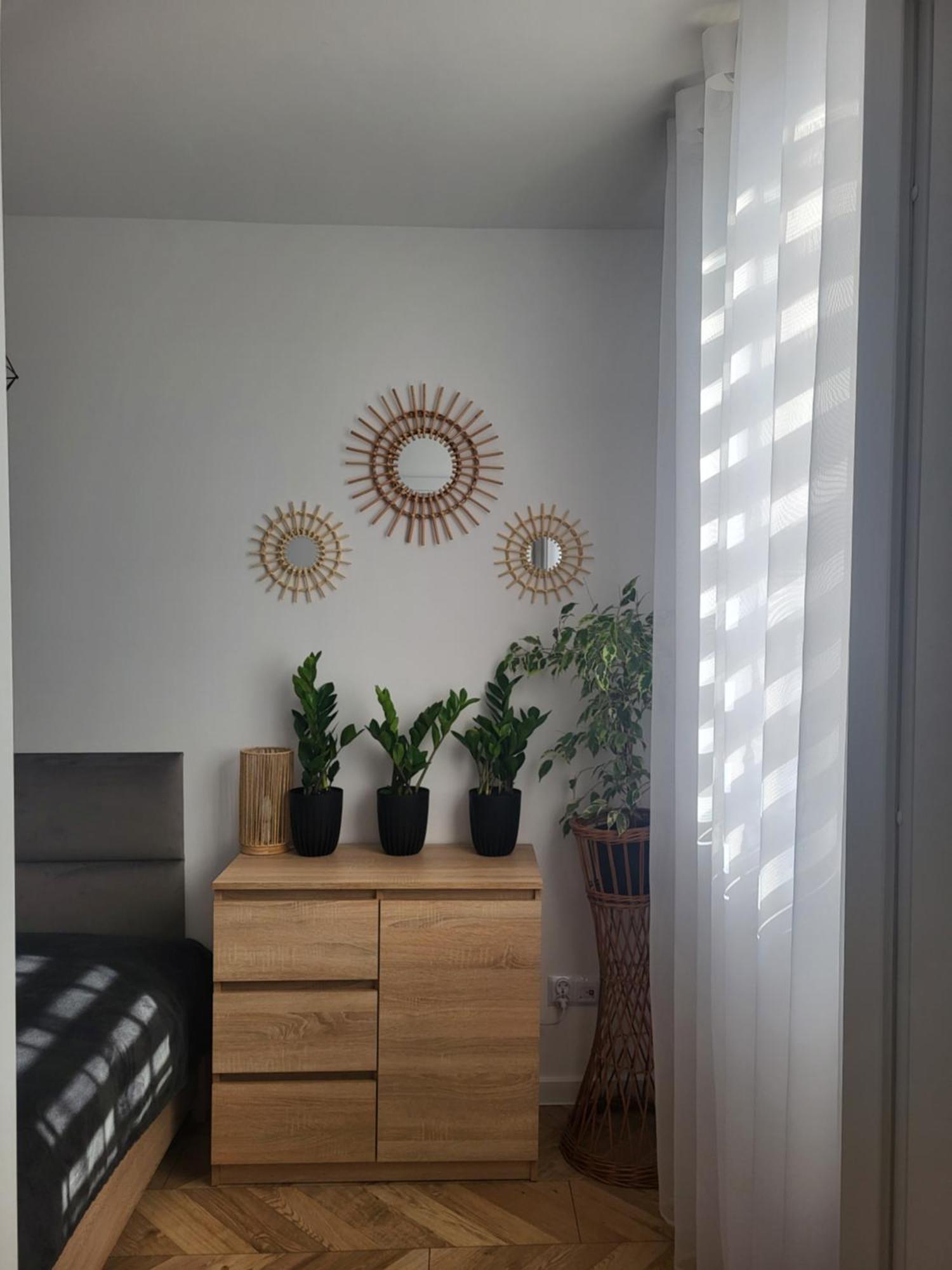 Apartament M&K Z Widokiem Na Stare Miasto Zamość Zewnętrze zdjęcie